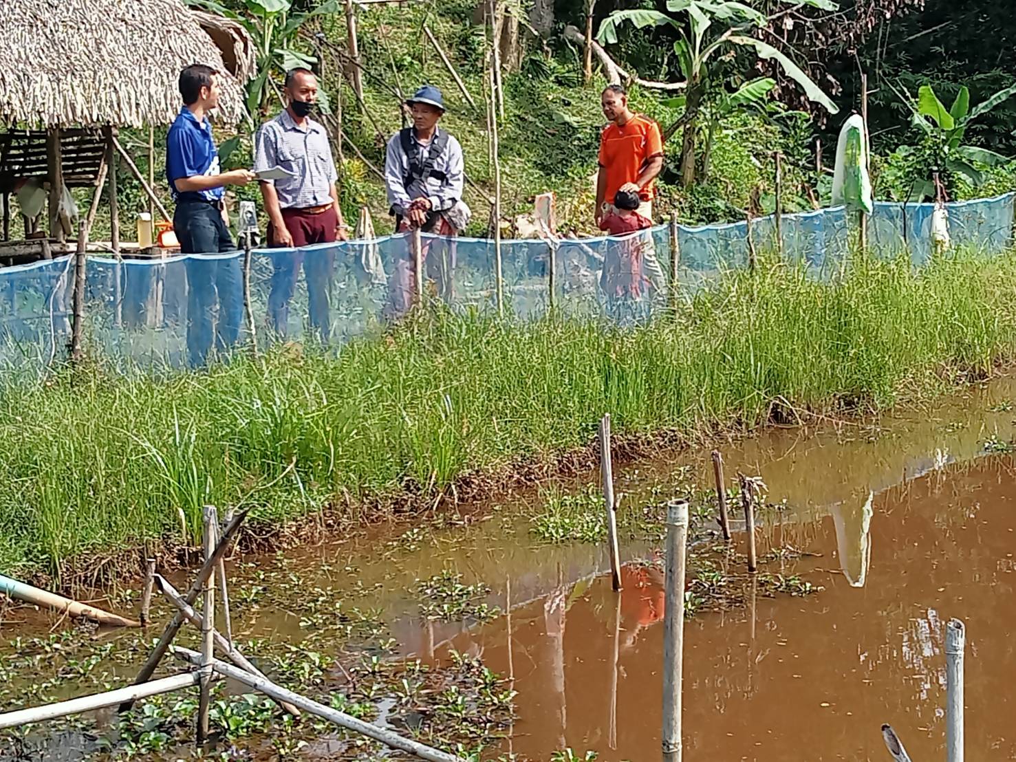 ตรวจประเมินฟาร์มของเกษตรกรที่เข้าร่วมโครงการยกระดับคุณภาพมาตรฐานสินค้าเกษตร..คลิก