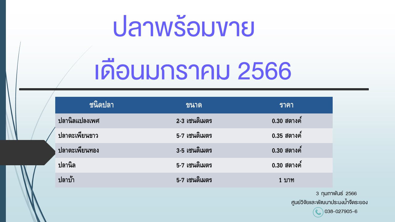 ปลาพร้อมขาย วันที่ 3 กุมภาพันธ์ 2566..คลิก