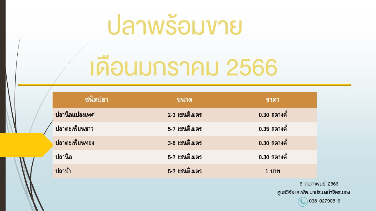 ปลาพร้อมขาย วันที่ 6 กุมภาพันธ์ 2566..คลิก
