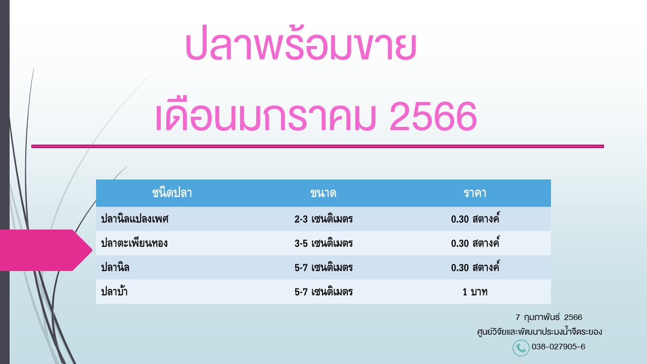 ปลาพร้อมขาย วันที่ 7 กุมภาพันธ์ 2566..คลิก