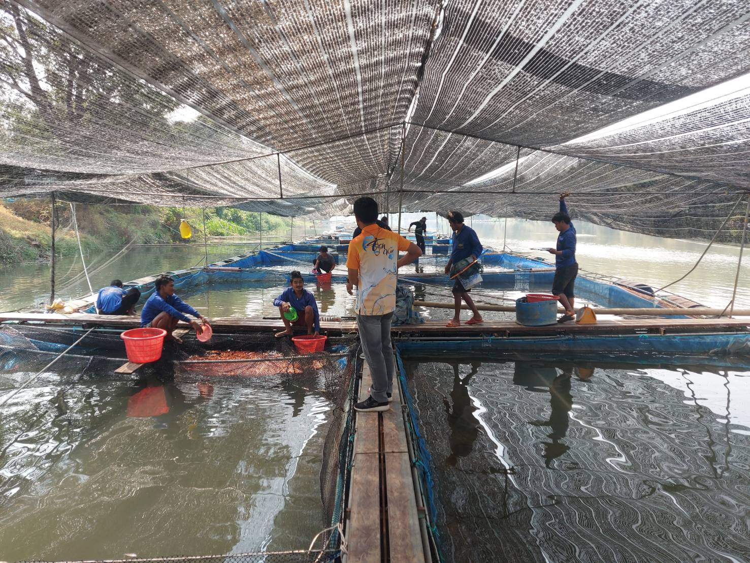 เข้าร่วมกิจกรรมการศึกษาดูงานจากคณะสัตวแพทยศาสตร์ จุฬาลงกรณ์มหาวิทยาลัย ณ ศูนย์การเรียนรู้แปลงใหญ่ผู้เลี้ยงปลาทับทิมแม่น้ำ กาญจนบุรี..คลิก