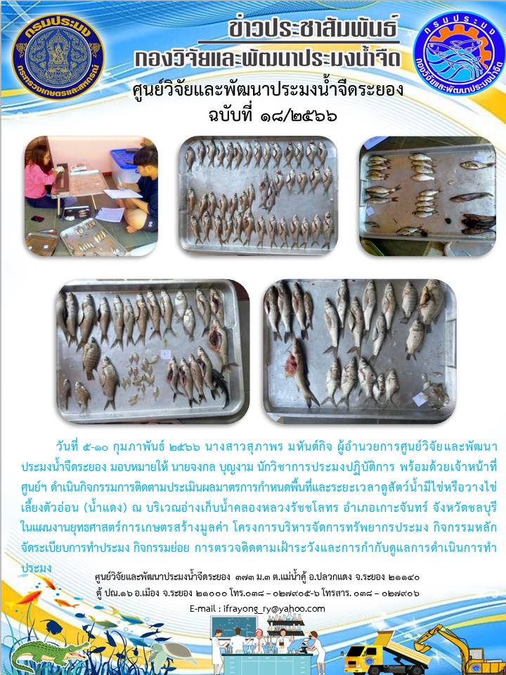 ข่าวประชาสัมพันธ์กิจกรรม ฉบับที่ 18/2566..คลิก