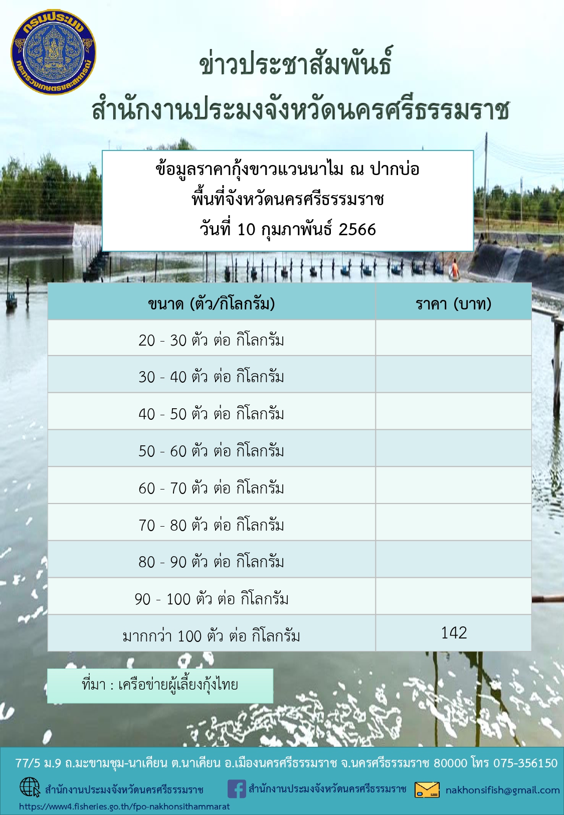 ราคากุ้งขาวแวนนาไม ณ ปากบ่อ พื้นที่จังหวัดนครศรีธรรมราช วันที่ 10 กุมภาพันธ์ 2566..คลิก