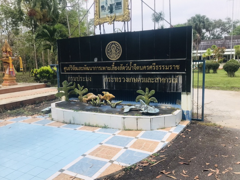 ตรวจประเมินโรงเพาะฟัก ศพจ.นครศรีธรรมราช