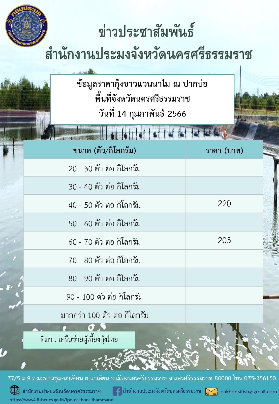 ราคากุ้งขาวแวนนาไม ณ ปากบ่อ พื้นที่จังหวัดนครศรีธรรมราช วันที่ 14 กุมภาพันธ์ 2566..คลิก