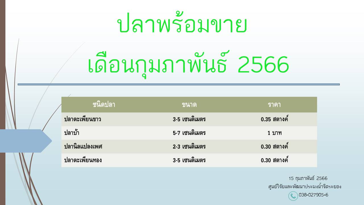 ปลาพร้อมขาย วันที่  15 กุมภาพันธ์ 2566..คลิก