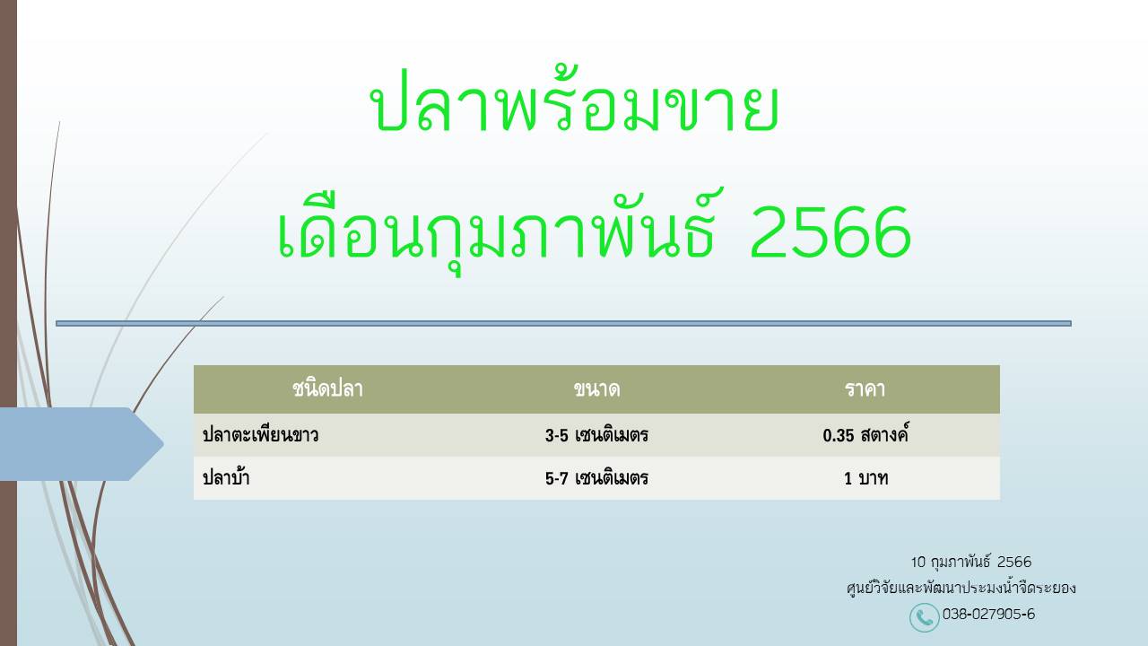 ปลาพร้อมขาย วันที่  10 กุมภาพันธ์ 2566..คลิก