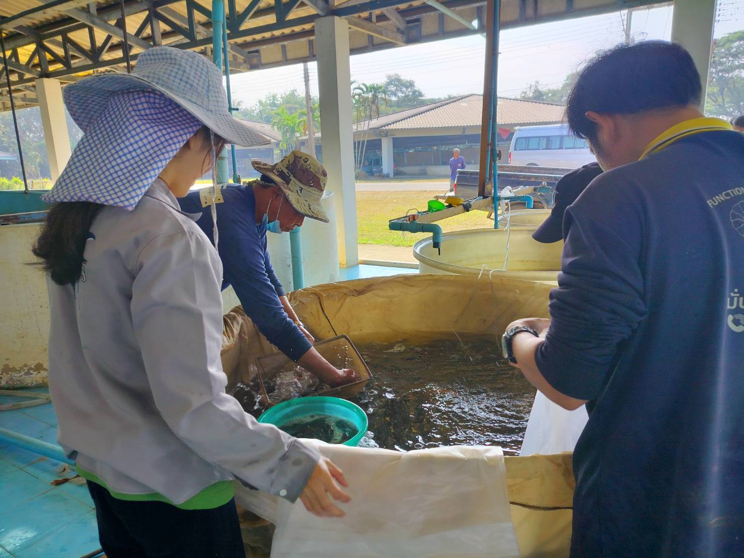 สนับสนุนพันธุ์ปลา จำนวน 2,000 ตัว ให้กับ  โรงเรียนบ้านขุนกำลัง  ตำบลขุนควร อำเภอปง จังหวัดพะเยา..คลิก