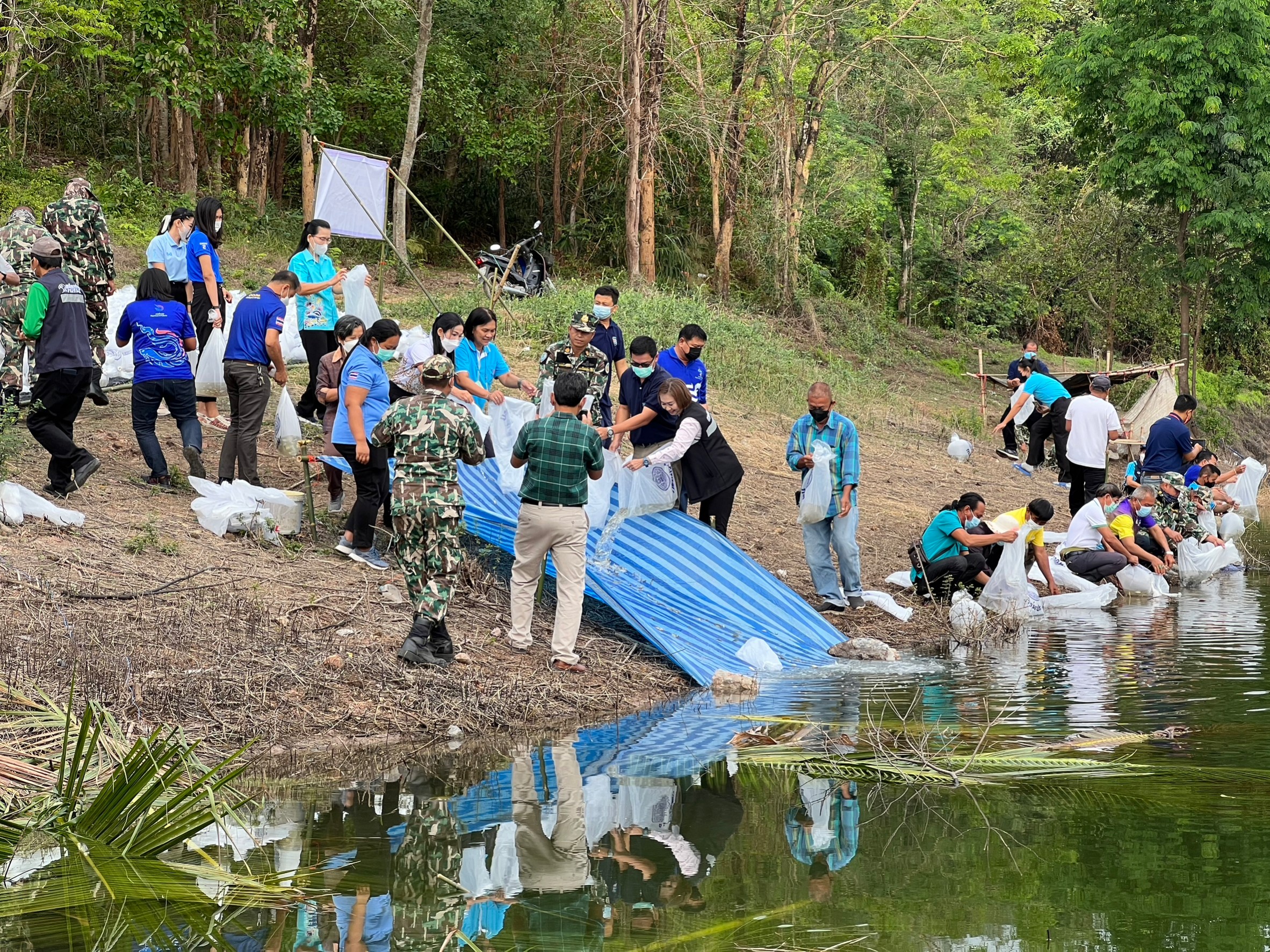 ปล่อยพันธ์สัตว์น้ำเพิ่มผลผลิตในอ่างเก็บน้ำวังม่วง..คลิก