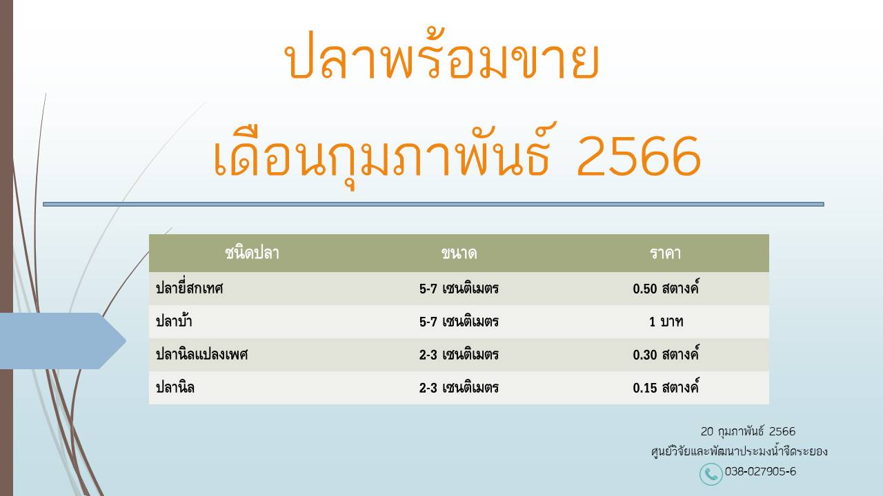 ปลาพร้อมขาย วันที่ 20 กุมภาพันธ์ 2566..คลิก