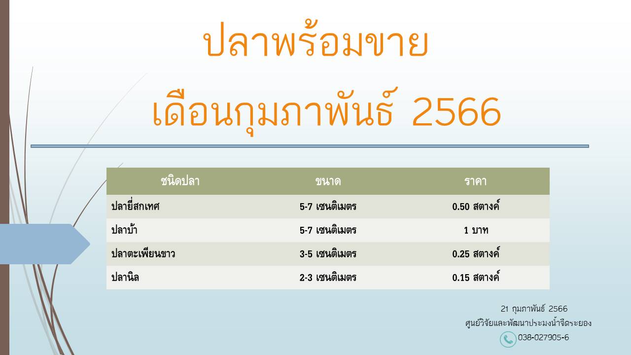 ปลาพร้อมขาย วันที่ 21 กุมภาพันธ์ 2566..คลิก