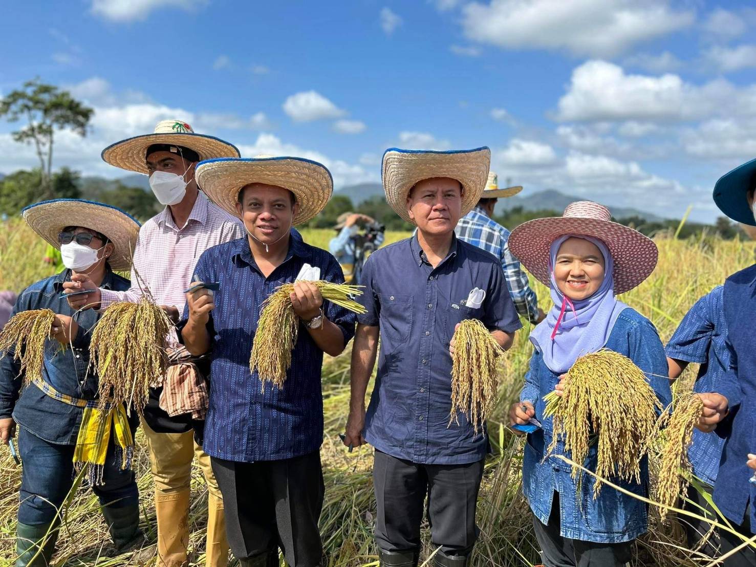 กิจกรรมลงแขกเกี่ยวข้าว อนุรักษ์วิถีชีวิตและภูมิปัญญาท้องถิ่น เพื่อพัฒนาการเกษตรอย่างยั่งยืน เสริมสร้างความสามัคคีและสมานฉันท์ในชุมชน..คลิก