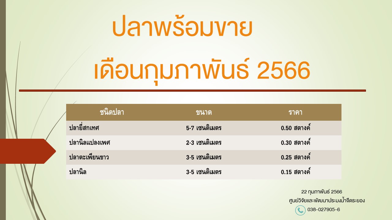 ปลาพร้อมขาย วันที่ 22 กุมภาพันธ์ 2566..คลิก