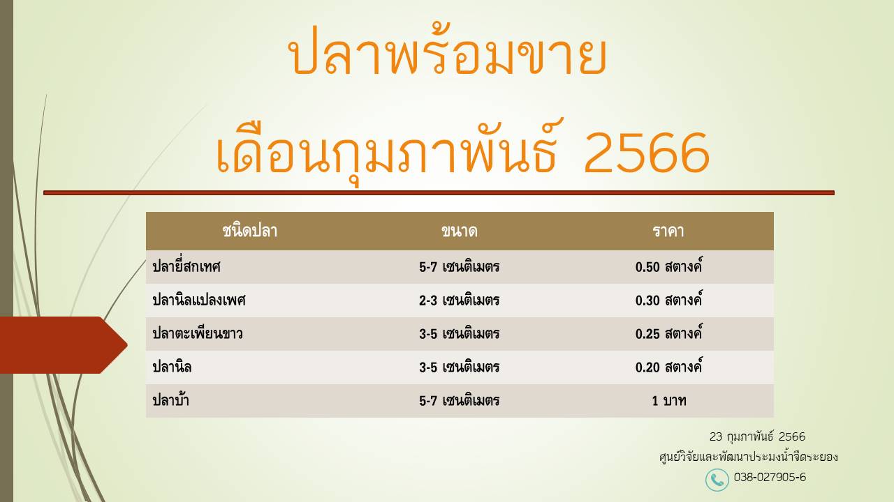 ปลาพร้อมขาย วันที่ 23 กุมภาพันธ์ 2566..คลิก
