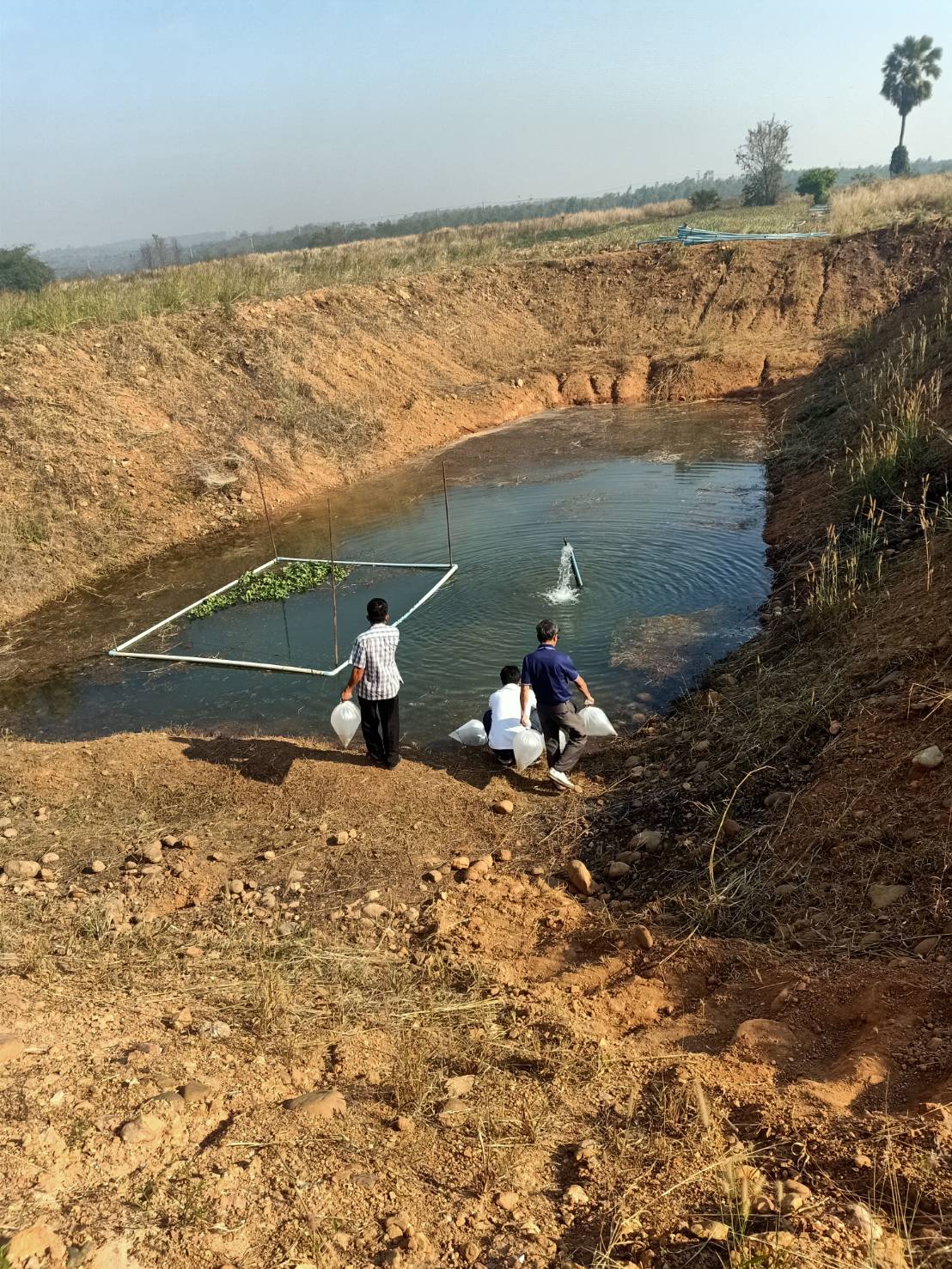 ติดตามเกษตรกรโครงการศูนย์เรียนรู้การเพิ่มประสิทธิภาพการผลิตสินค้าประมง  (ศพก.หลัก)..คลิก