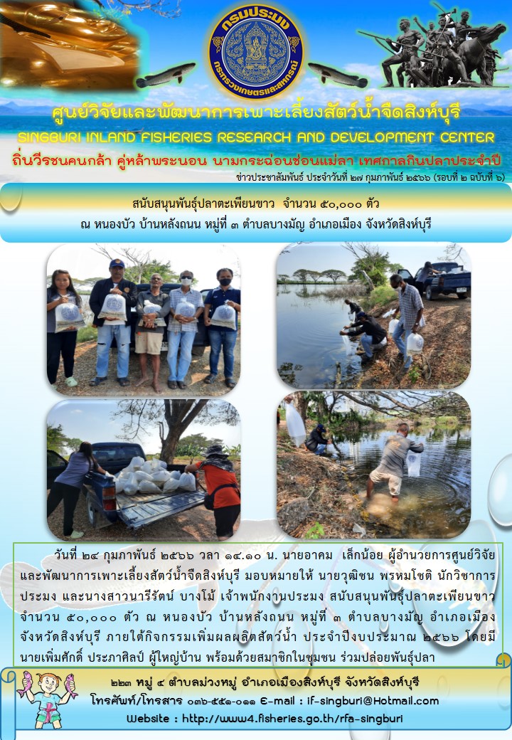 สนับสนุนพันธุ์ปลาตะเพียนขาว  จำนวน 50,000 ตัว  ณ หนองบัว บ้านหลังถนน หมู่ที่ 3 ตำบลบางมัญ อำเภอเมือง จังหวัดสิงห์บุรี..คลิก