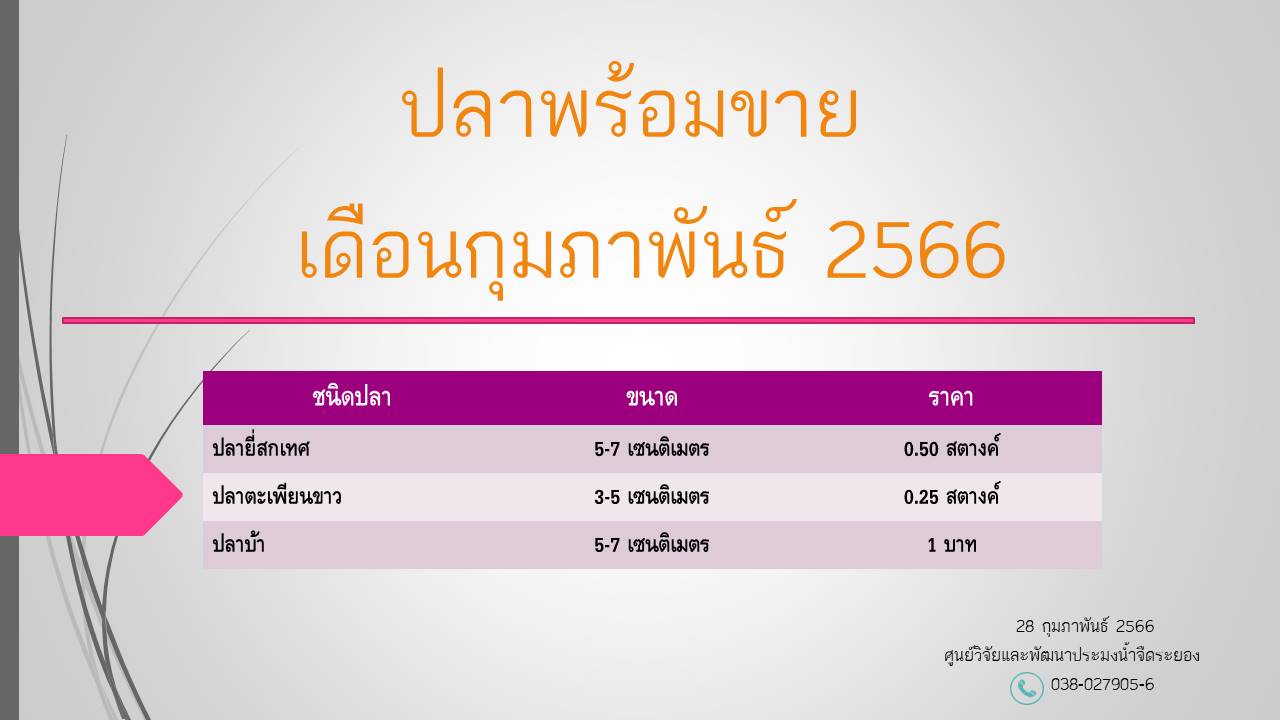 ปลาพร้อมขาย วันที่ 28 กุมภาพันธ์ 2566..คลิก