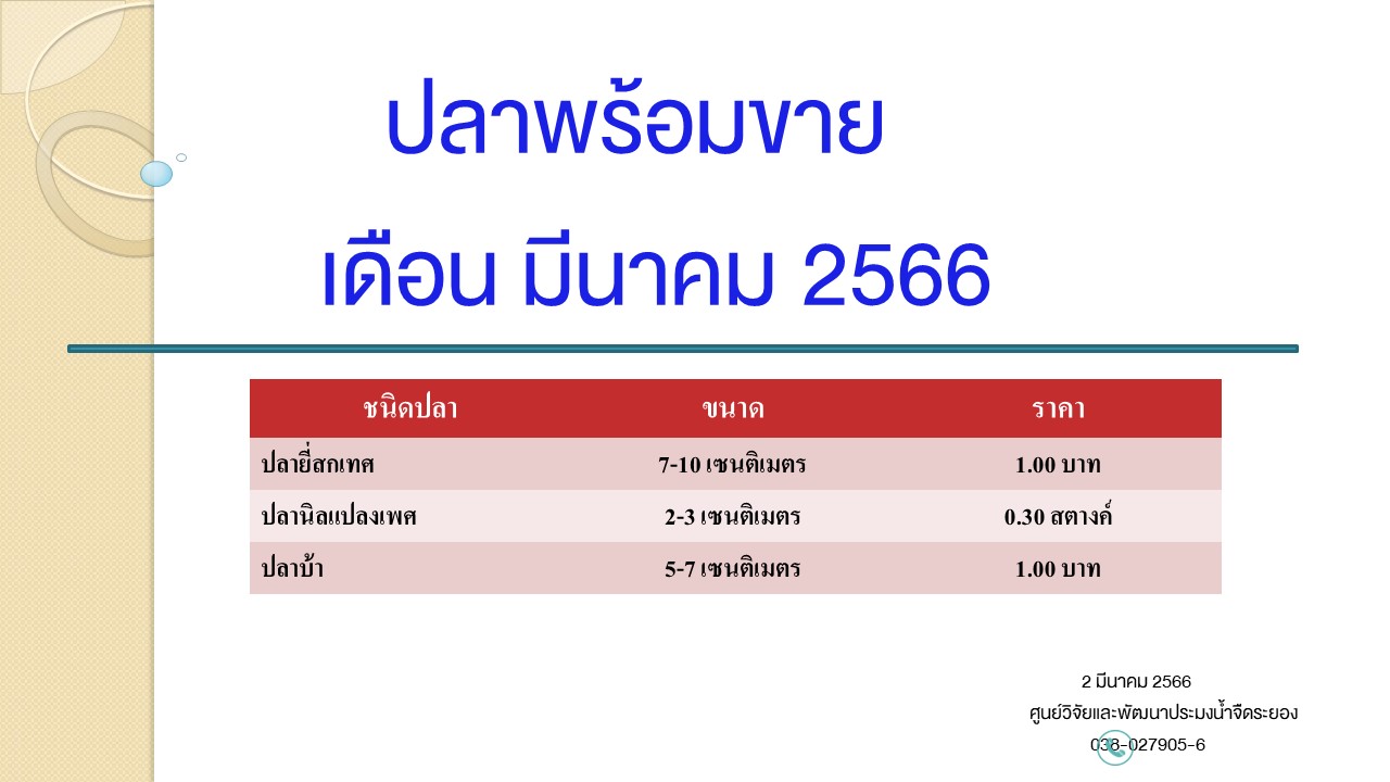 ปลาพร้อมขาย วันที่ 2 มีนาคม 2566..คลิก