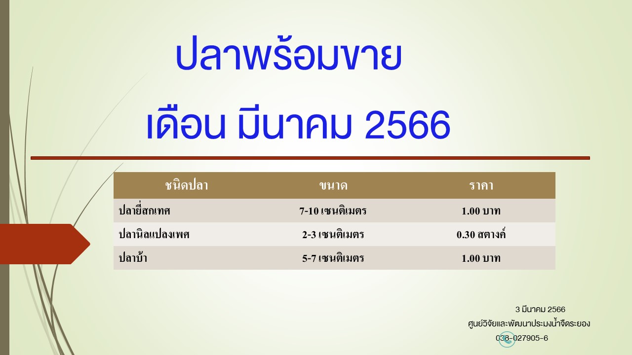 ปลาพร้อมขาย วันที่ 3 มีนาคม 2566..คลิก