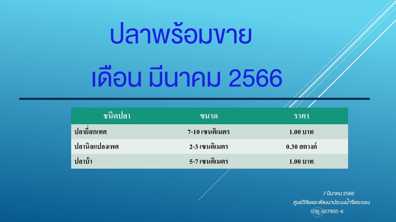 ปลาพร้อมขาย วันที่ 7 มีนาคม 2566..คลิก
