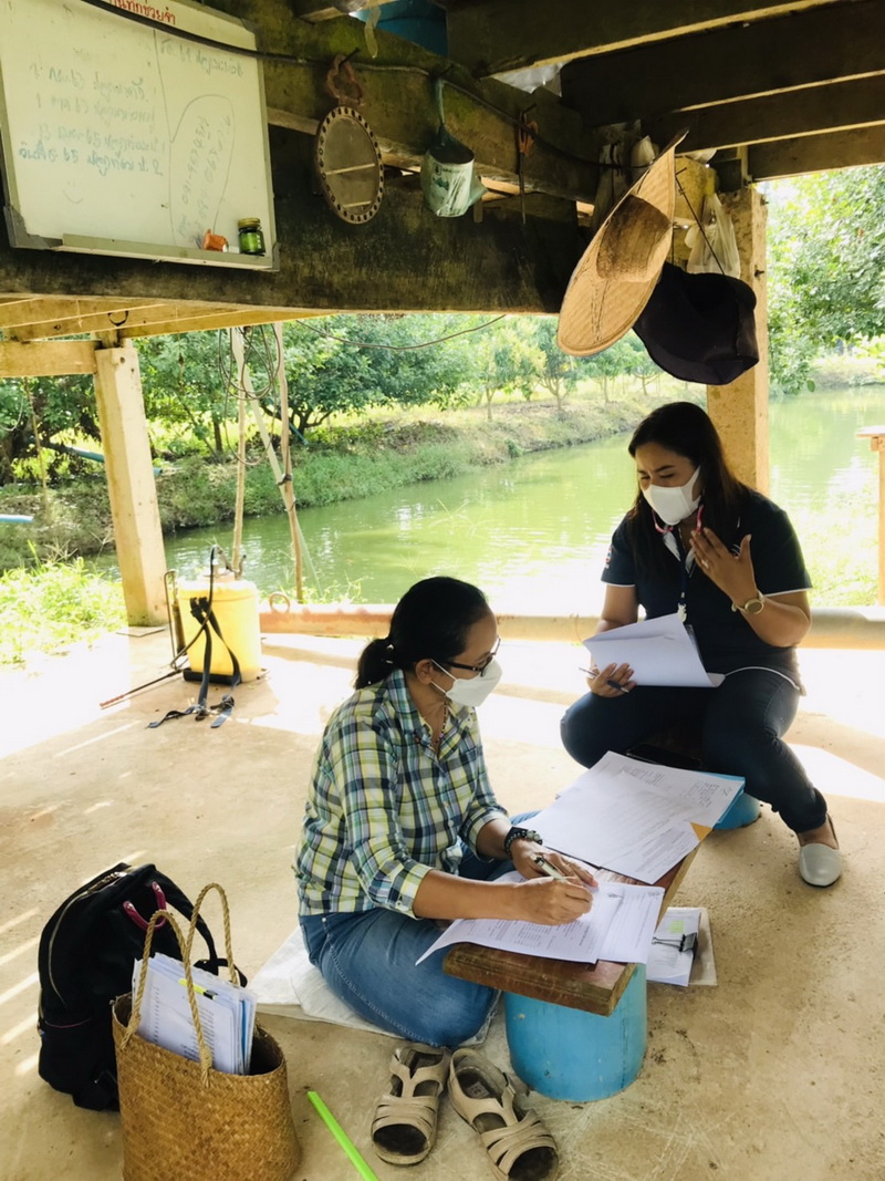 ตรวจประเมินฟาร์มเพาะเลี้ยงสัตว์น้ำ เกษตรกรอำเภอเมืองและอำเภอป่าบอน..คลิก