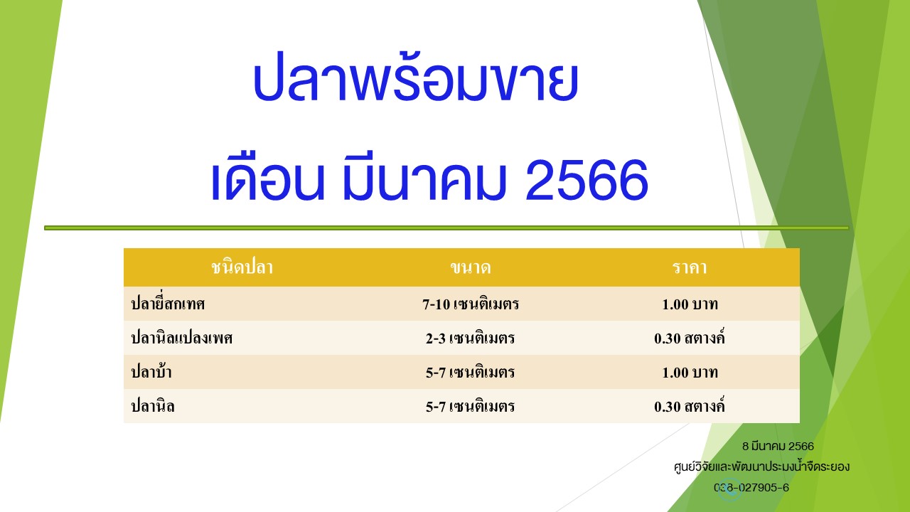 ปลาพร้อมขาย วันที่ 8 มีนาคม 2566..คลิก
