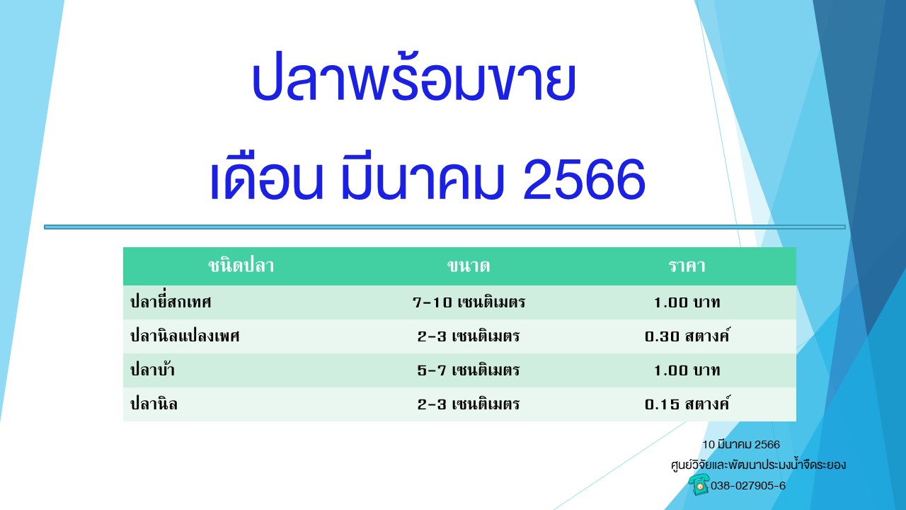 ปลาพร้อมขาย วันที่ 10 มีนาคม 2566..คลิก