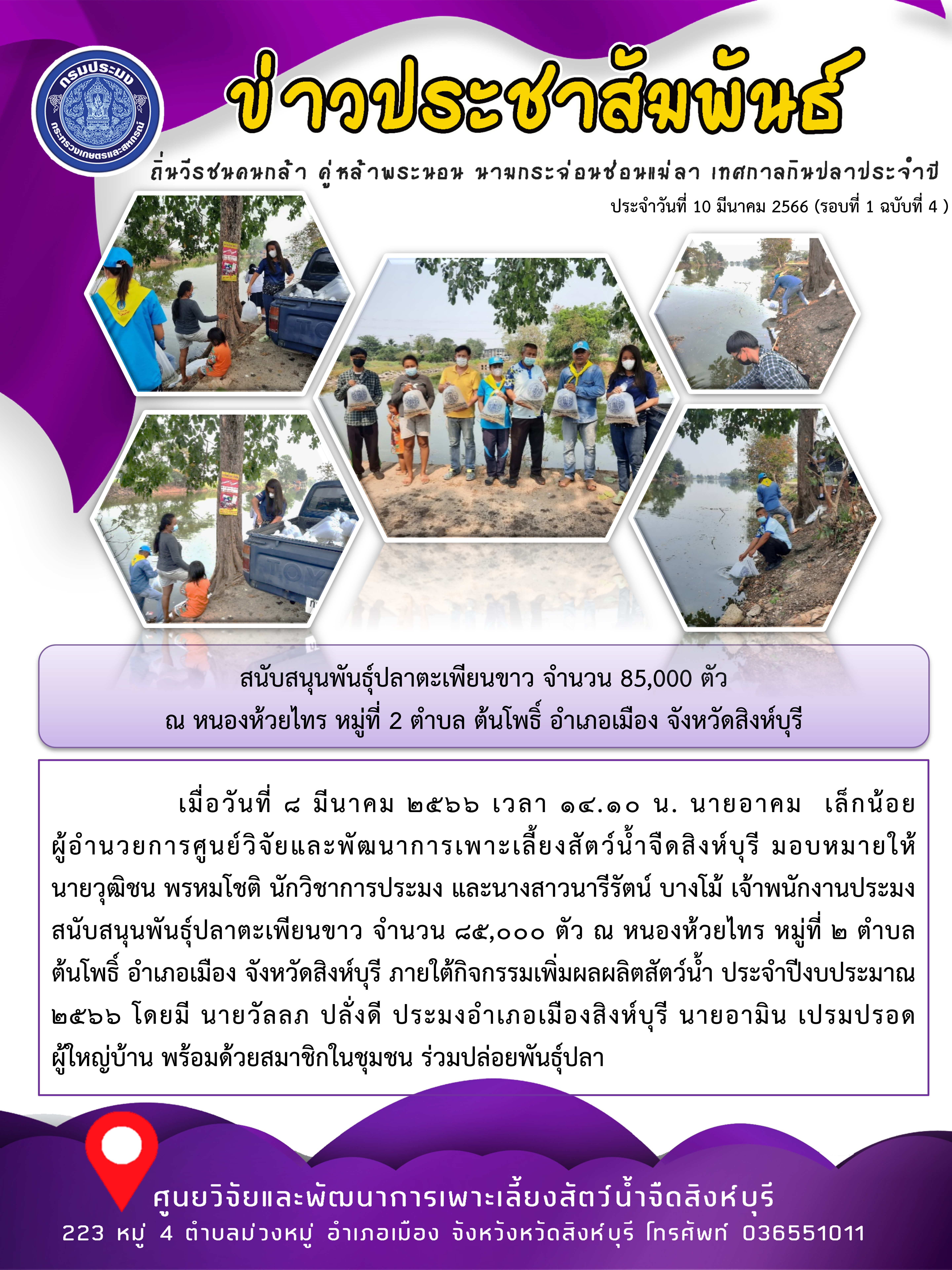 สนับสนุนพันธุ์ปลาตะเพียนขาว จำนวน 85,000 ตัว  ณ หนองห้วยไทร หมู่ที่ 2 ตำบล ต้นโพธิ์ อำเภอเมือง จังหวัดสิงห์บุรี..คลิก
