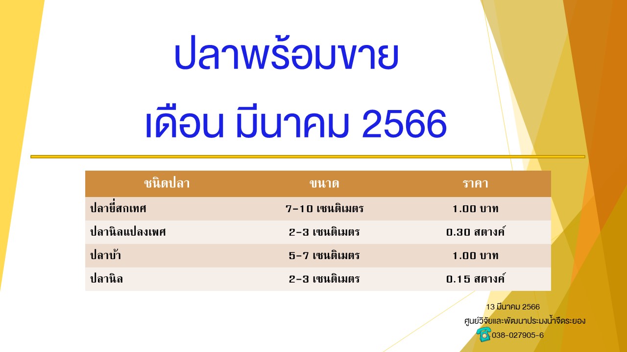 ปลาพร้อมขาย วันที่ 13 มีนาคม 2566..คลิก