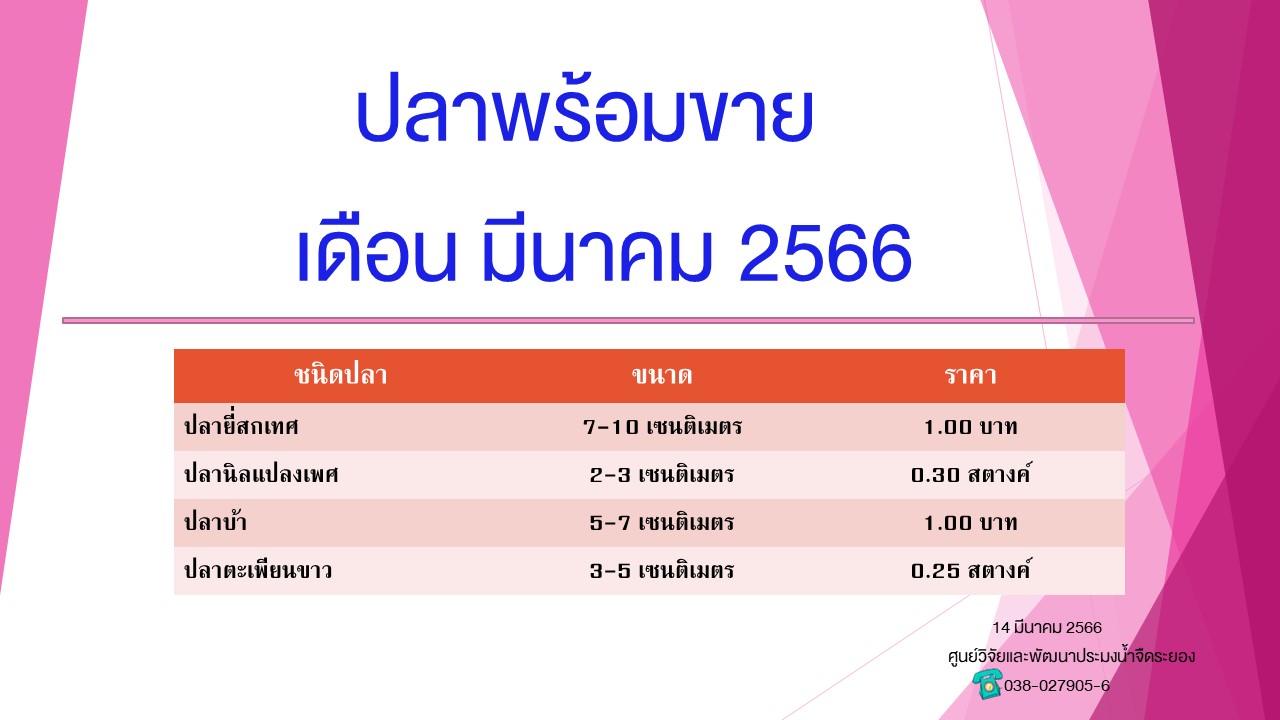 ปลาพร้อมขาย วันที่ 14 มีนาคม 2566..คลิก