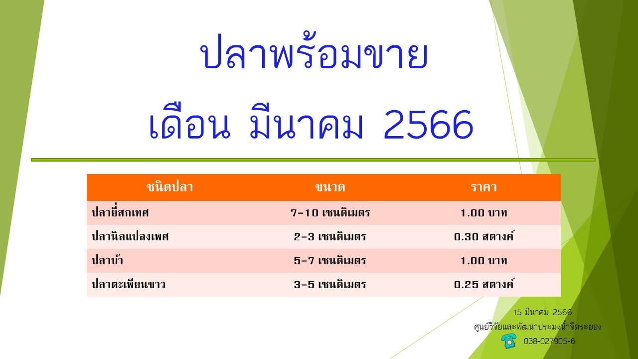 ปลาพร้อมขาย วันที่ 15 มีนาคม 2566..คลิก