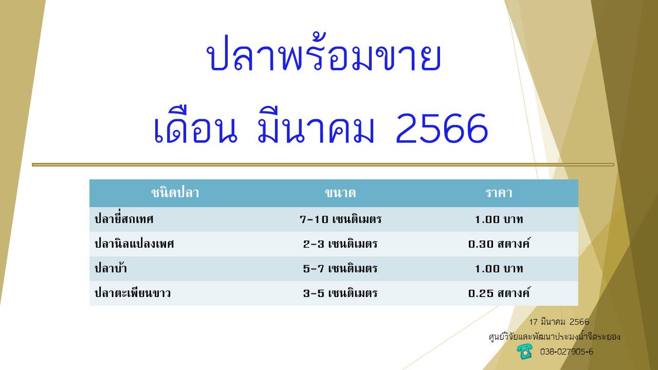 ปลาพร้อมขาย วันที่  16  มีนาคม 2566..คลิก