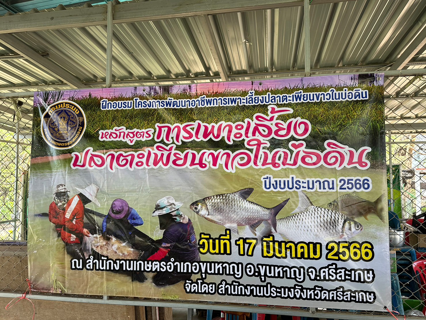 จัดฝึกอบรมโครงการพัฒนาอาชีพการเพาะเลี้ยงปลาตะเพียนขาวในบ่อดินอำเภอขุนหาญ..คลิก