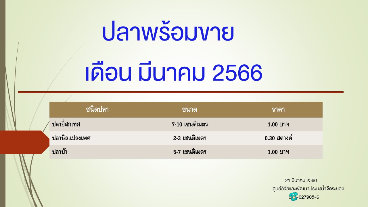 ปลาพร้อมขาย วันที่ 21 มีนาคม 2566..คลิก