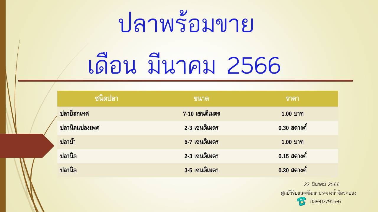 ปลาพร้อมขาย วันที่ 22 มีนาคม 2566..คลิก