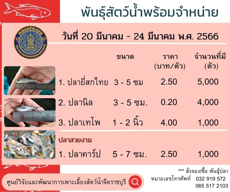 พันธุ์สัตว์น้ำพร้อมจำหน่าย วันที่ 20 มีนาคม - 24 มีนาคม 2566..คลิก