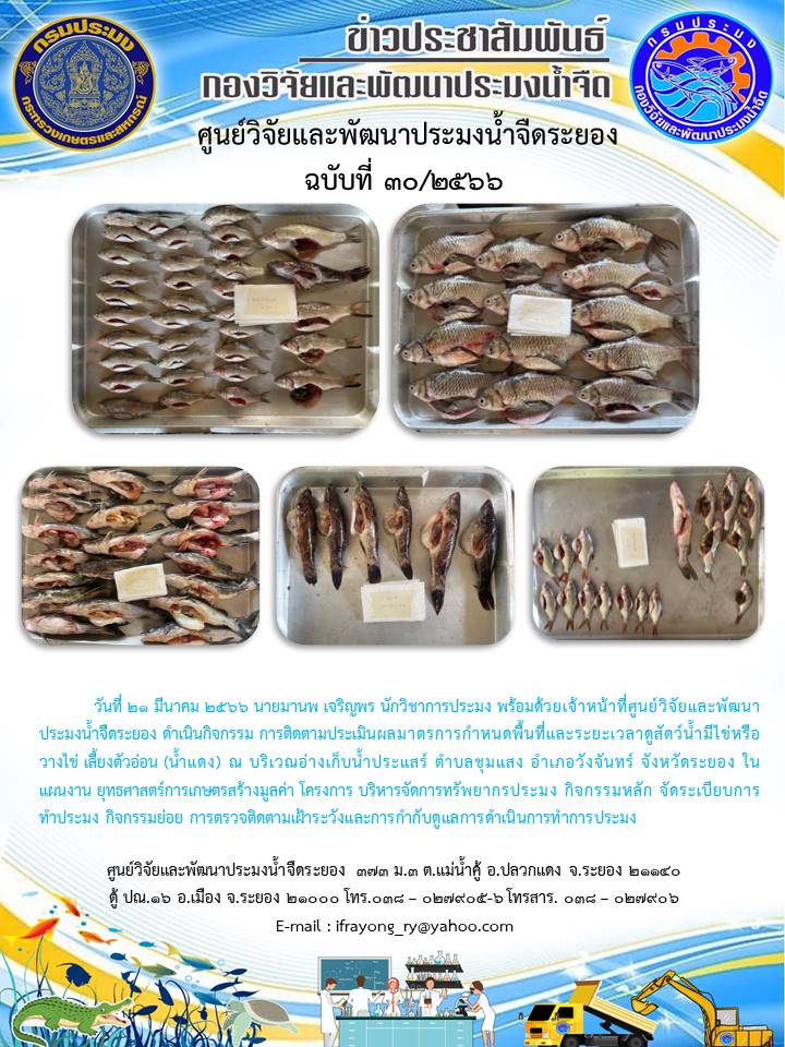 ข่าวประชาสัมพันธ์กิจกรรม ฉบับที่ 30/2566..คลิก