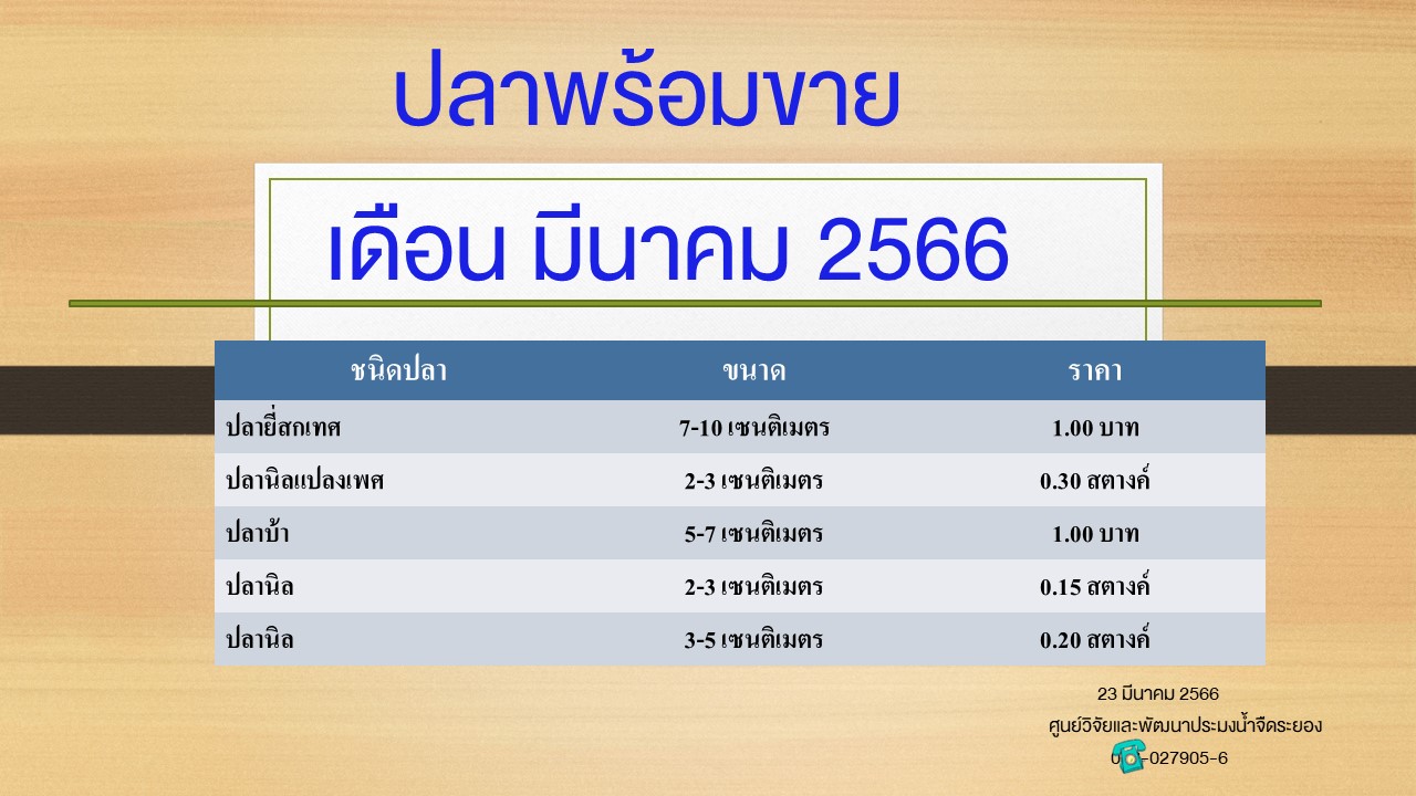 ปลาพร้อมขาย วันที่ 23 มีนาคม 2566..คลิก