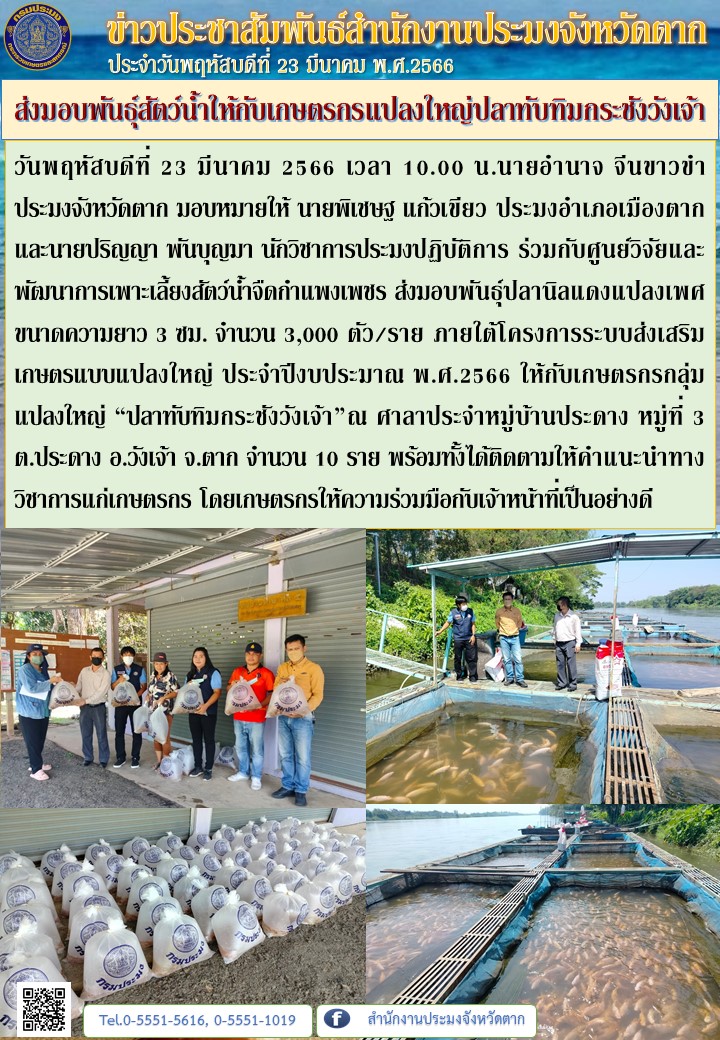 ส่งมอบพันธุ์สัตว์น้ำให้กับเกษตรกรแปลงใหญ่ปลาทับทิมกระชังวังเจ้า..คลิก