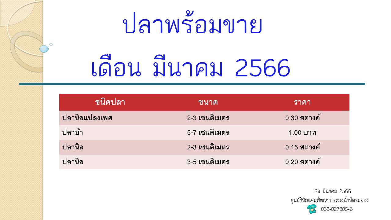 ปลาพร้อมขาย วันที่ 24 มีนาคม 2566..คลิก