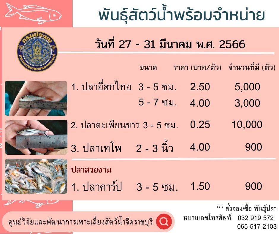 พันธุ์สัตว์น้ำพร้อมจำหน่าย ประจำวันที่ 27  - 31 มีนาคม 2566..คลิก