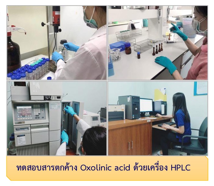 การปฏิบัติงานทดสอบสารตกค้างในวัตถุดิบสัตว์น้ำ ประจำเดือน มีนาคม 2566..คลิก