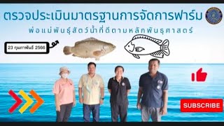 การตรวจประเมินมาตรฐานการจัดการฟาร์มพ่อแม่พันธุ์สัตว์น้ำที่ดีตามหลักพันธุศาสตร์