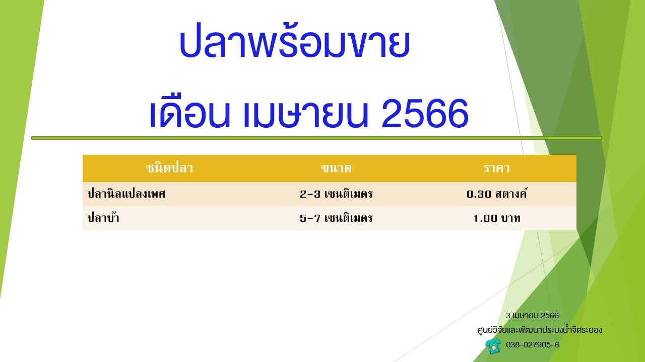 ปลาพร้อมขาย วันที่ 3 เมษายน 2566..คลิก
