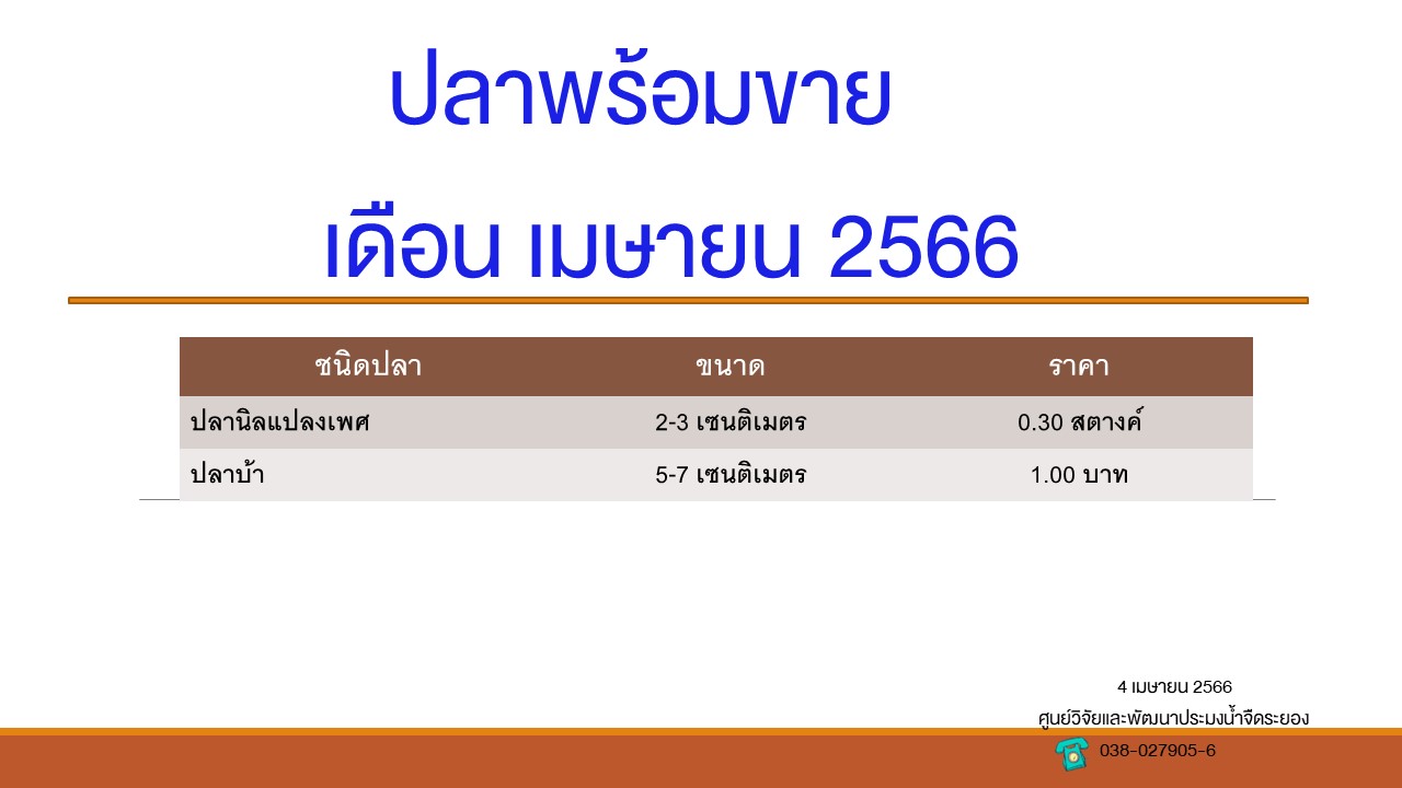 ปลาพร้อมขาย วันที่ 4 เมษายน 2566..คลิก