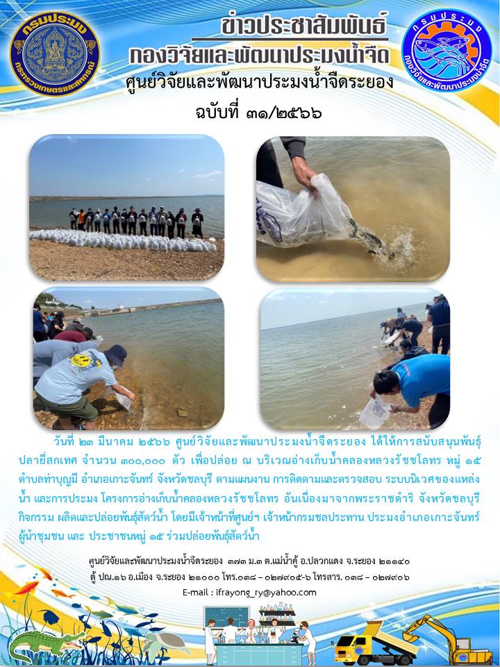 ข่าวประชาสัมพันธ์กิจกรรมฉบับที่ 31/2566..คลิก