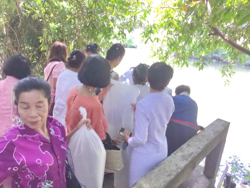 สนับสนุนพันธุ์ปลากินพืช เพื่อปล่อยในพิธีบวงสรวงอดีตเจ้าเมืองพัทลุง..คลิก