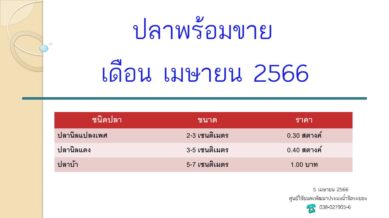 ปลาพร้อมขาย วันที่ 5 เมษายน 2566..คลิก