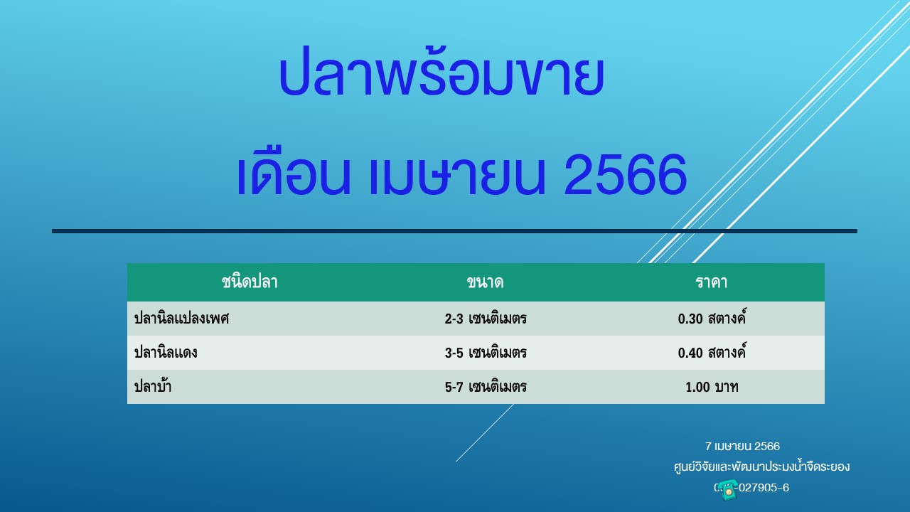 ปลาพร้อมขาย วันที่ 7 เมษายน 2566..คลิก
