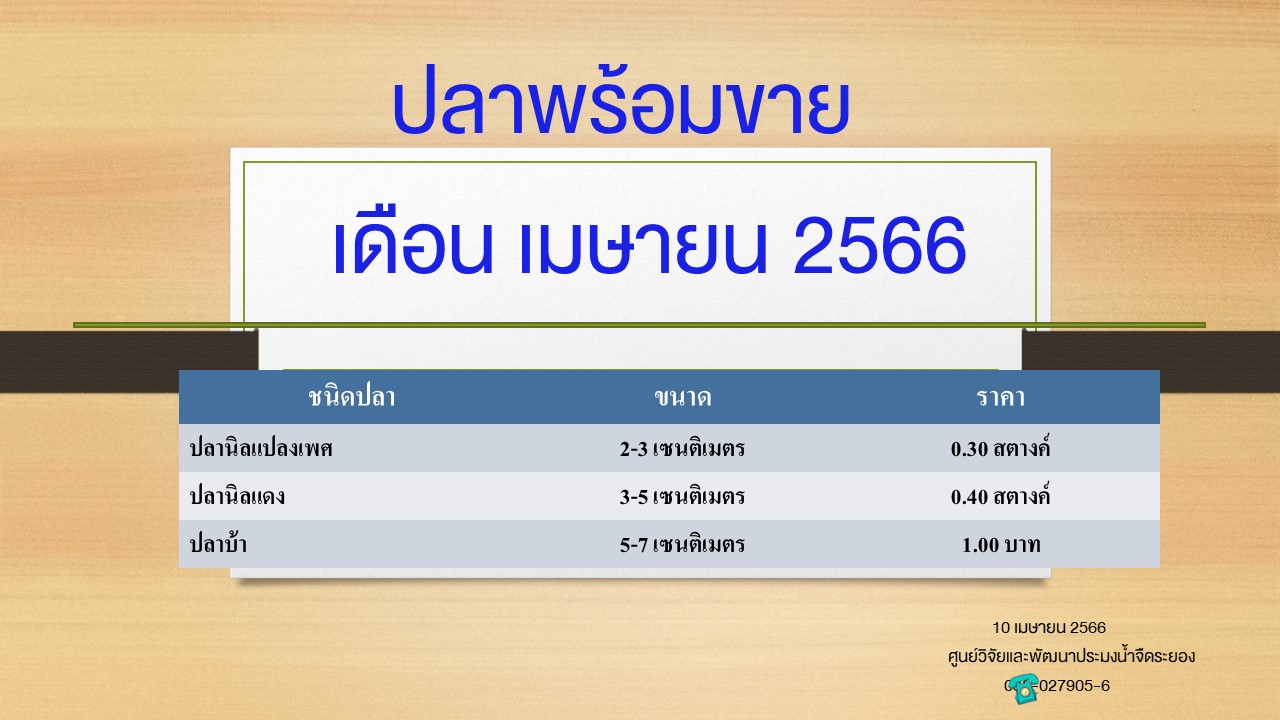 ปลาพร้อมขาย วันที่ 10 เมษายน 2566..คลิก